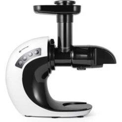 Masticating Juicer Machines Slow Juicer Cold Press For Vegetables Fruits 2 Speed Modes Quiet Motor Reverse Function Easy To Clean White