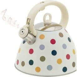 Vintage Gas Stove 3L Stainless Steel Tea Kettle With Silicone Handle
